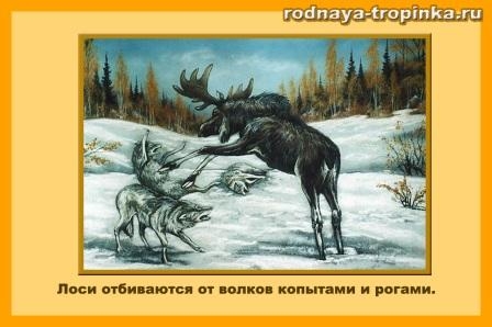 э шим чем встречают весну читать онлайн